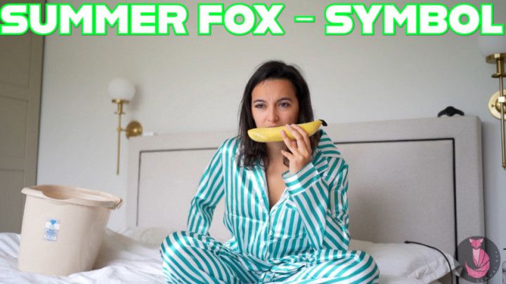 Summer Fox - Symbol
