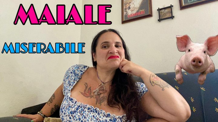 MAIALE MISERABILE