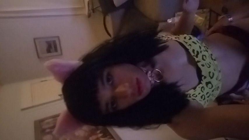 Face Sitting Hookup Neko Slut