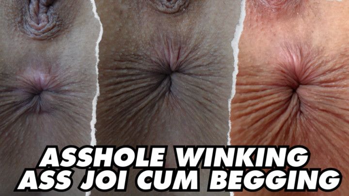 ASSHOLE WINKING ASS JOI CUM BEGGING - 4K