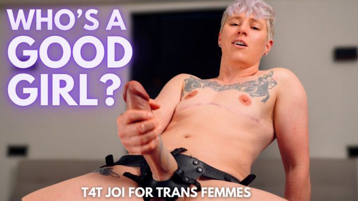 POV T4T Handler Breeding Roleplay - ftm, mtf, joi