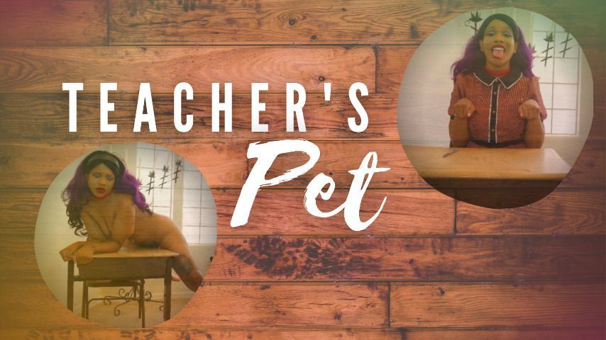 Teacher's Pet