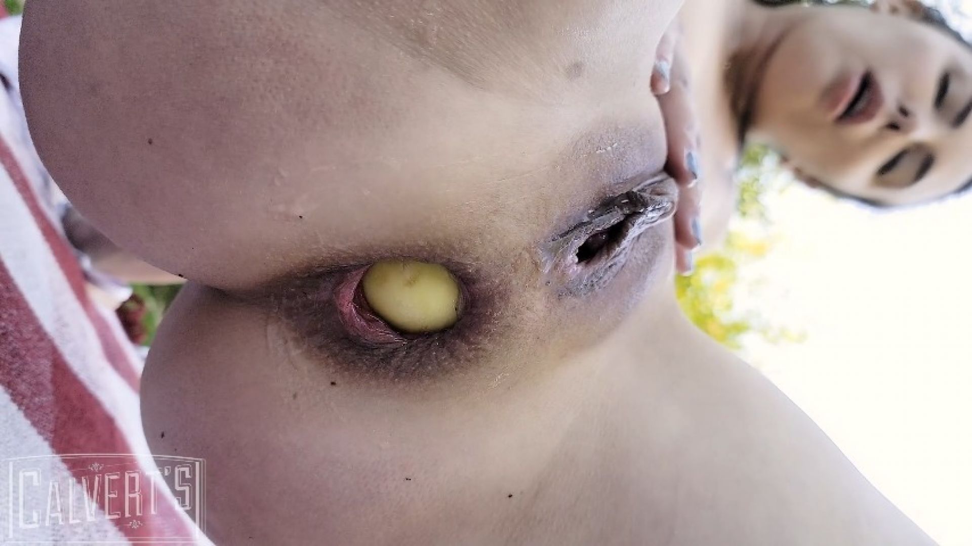 casey's apple picnic