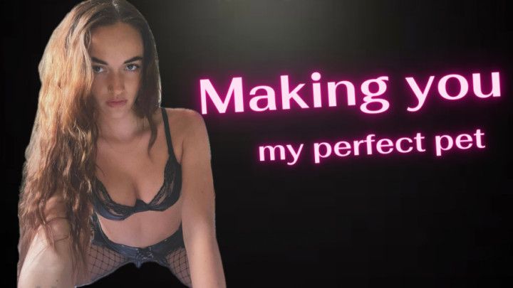 Making You My Perfect Pet