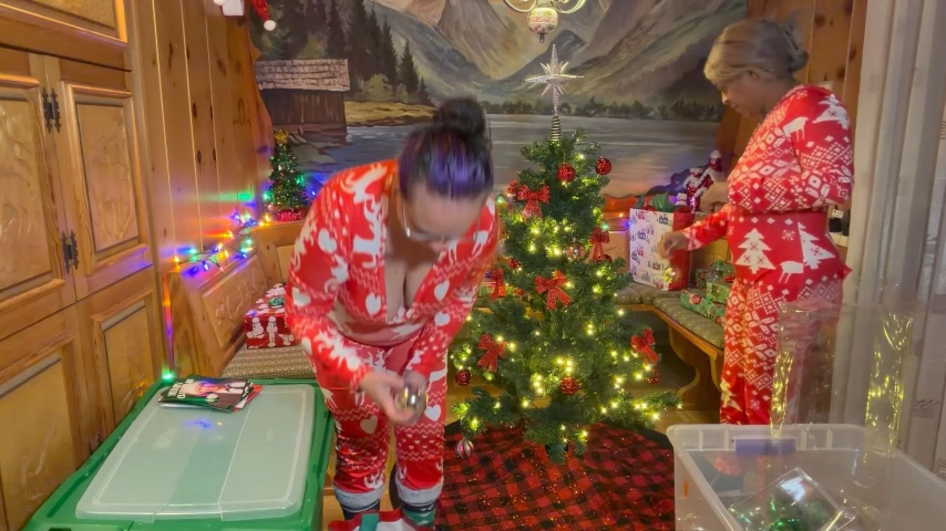 Donna and I decorate the tree