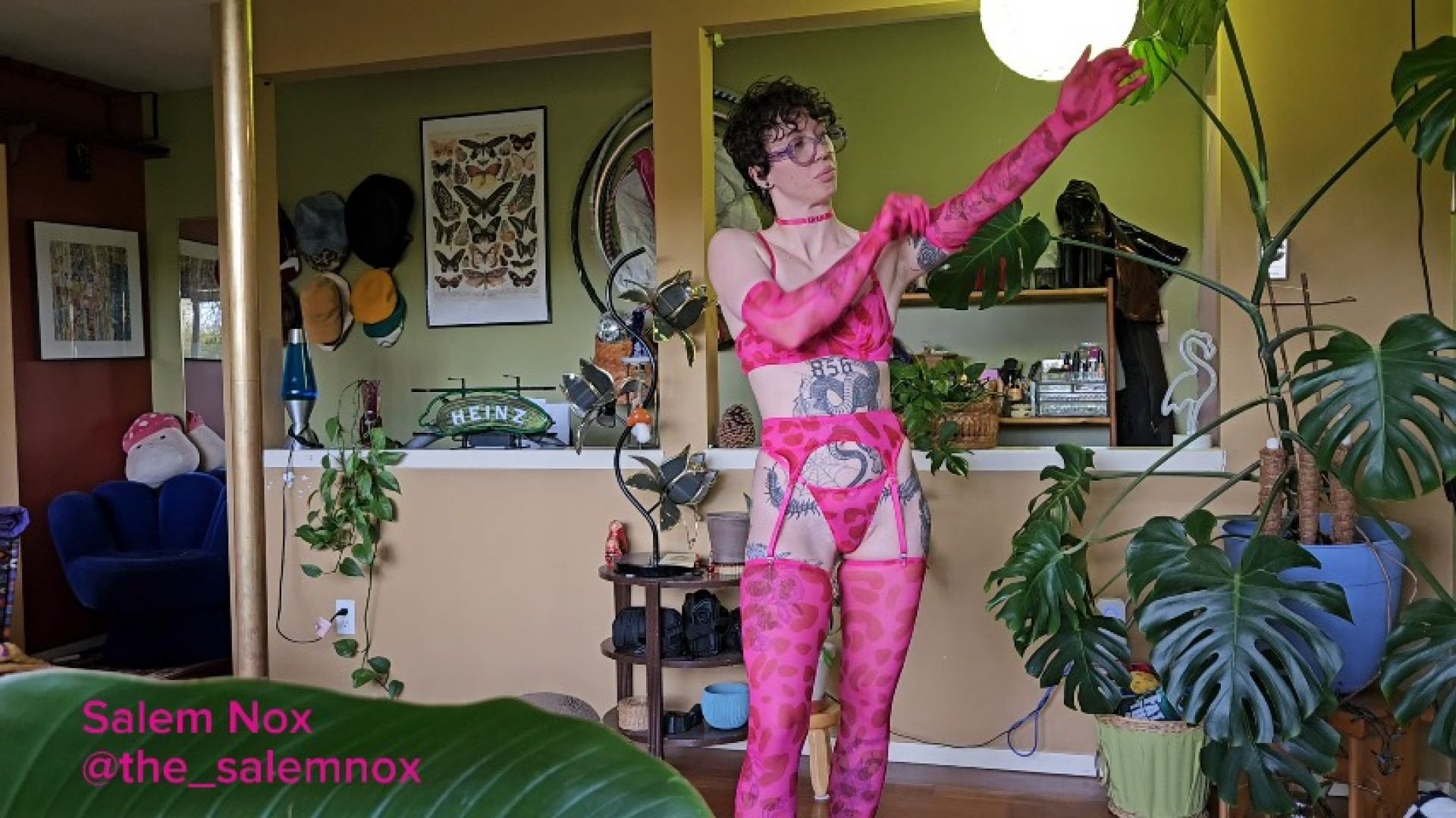 Trying On New Lingerie from a Fan