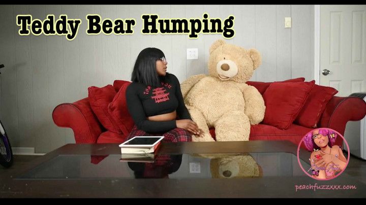 Teddys College Blues