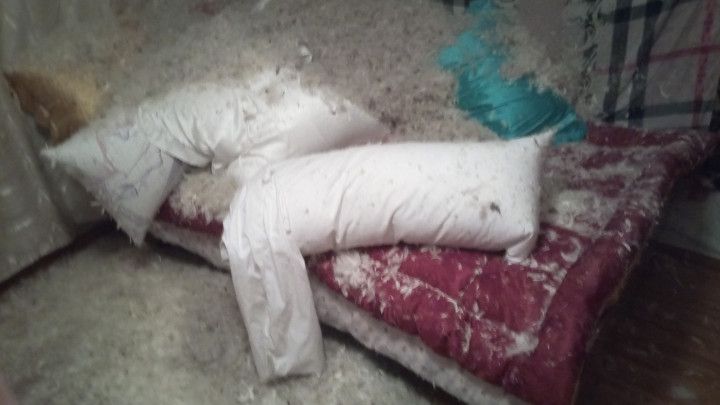 Creating a Body pillow down feather