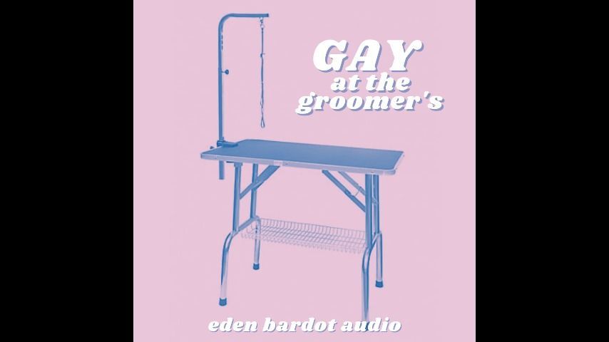 Gay at the Groomers' AUDIO