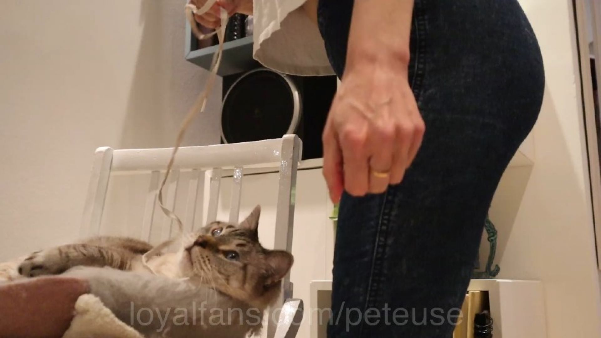 23 SECOND FART! HUGE WET FARTS WITH BAILEY THE CAT