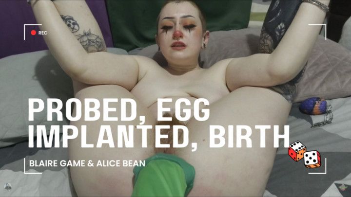 Probed, Impr-egg-nation, Oviposition Birth