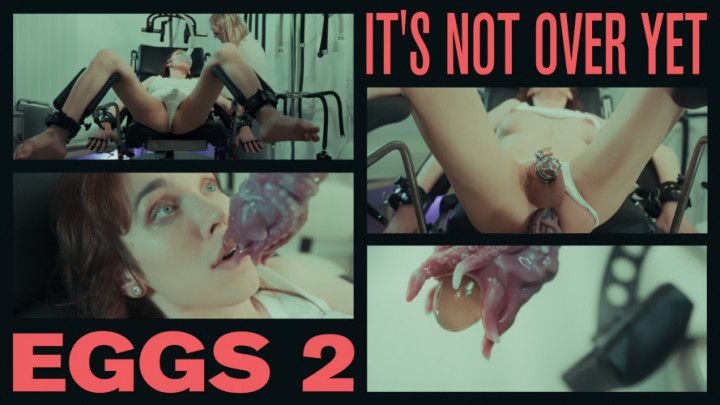 EGGS 2 - it's not over yet