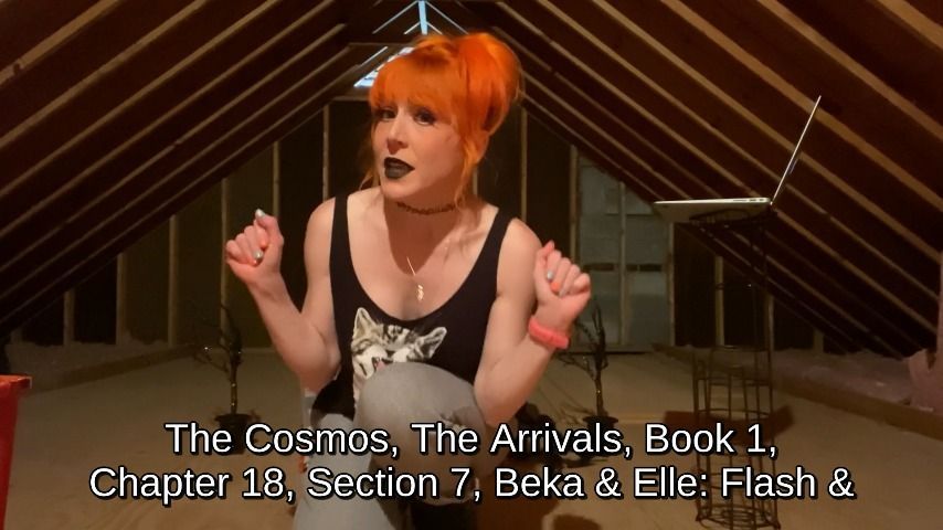 Mandy Cat Kitana Reading The Cosmos  18-7