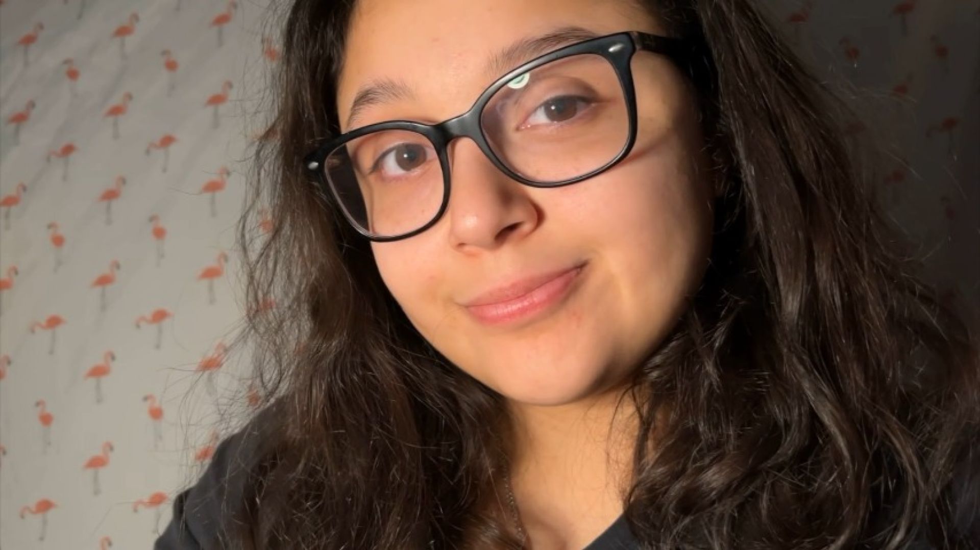 Video screenshot
