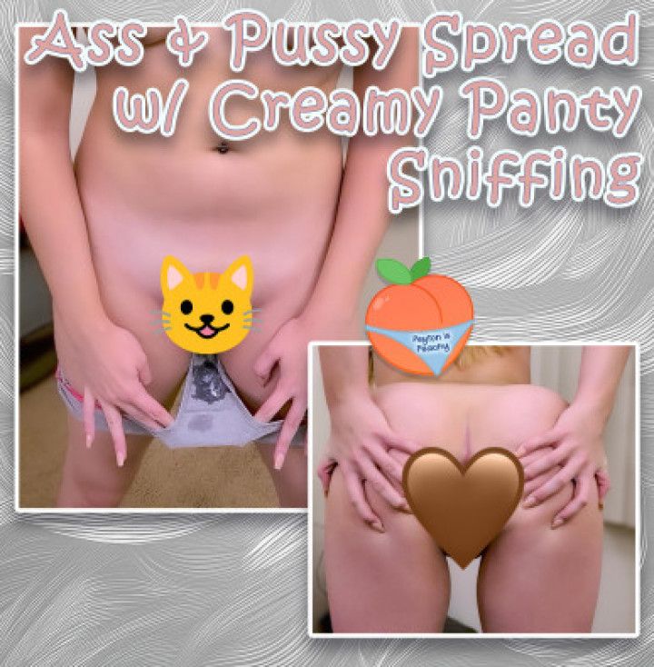 Ass &amp; Pussy Spread with Creamy Panty Sniffing