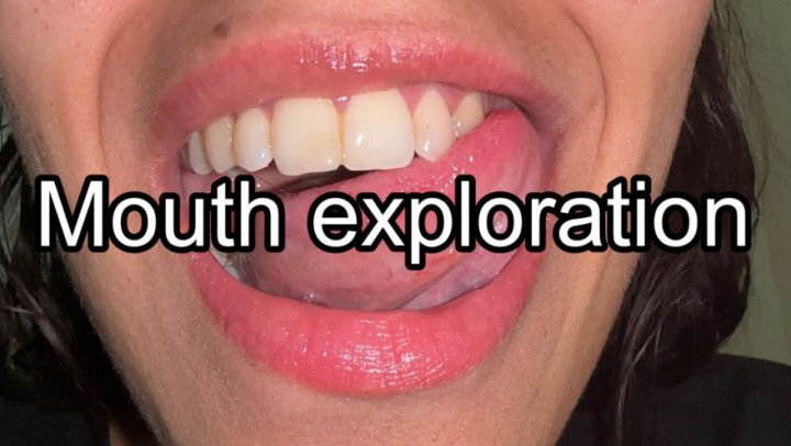 MOUTH TOUR