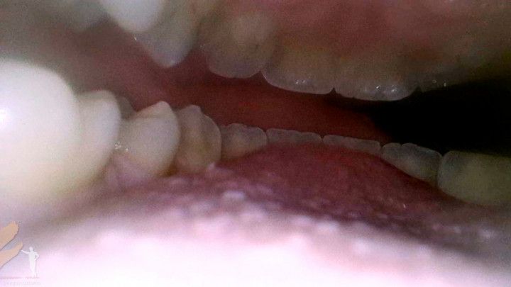 Mouth Cam - Epiphany - 1080