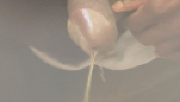 Licking my Cock Clean