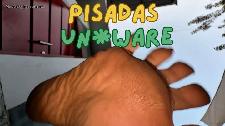 Shrinking pisadas de giganta