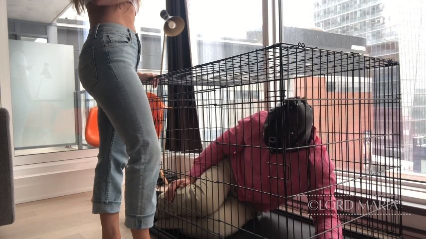 Introducing the slave to its cage