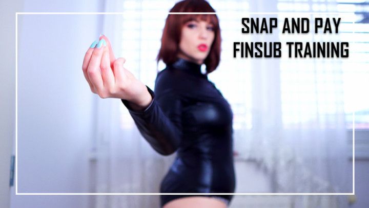 SNAP AND PAY FINSUB TRAINING