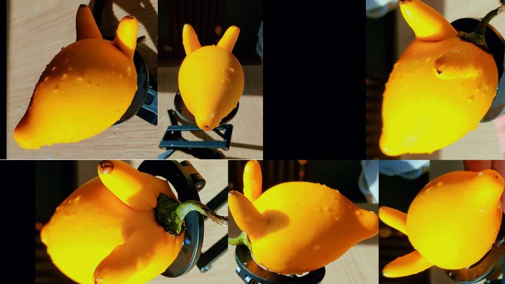 makeup for my favorite plant