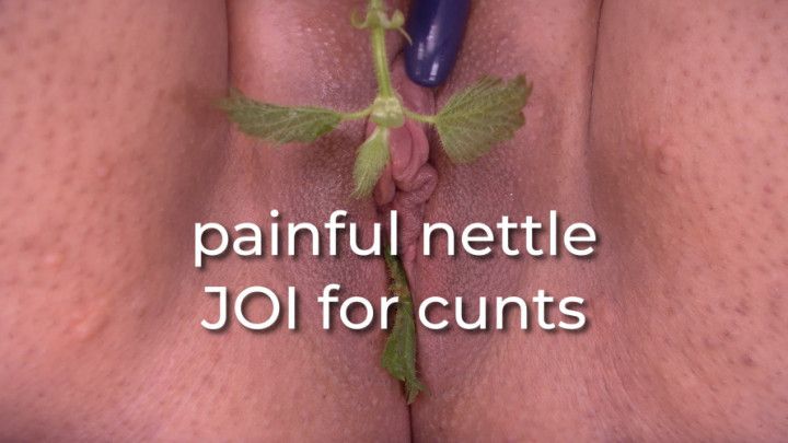 painful nettle JOI for cunts - uncaptioned