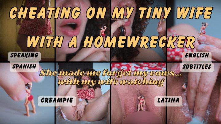 Cheating on My Tiny Wife with a Homewrecker