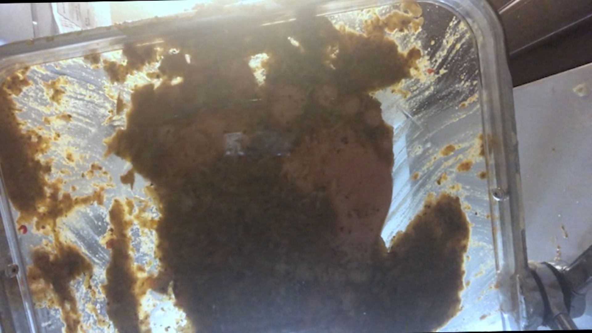 Goddess MXDominion uses her Soles to make Sole Curry