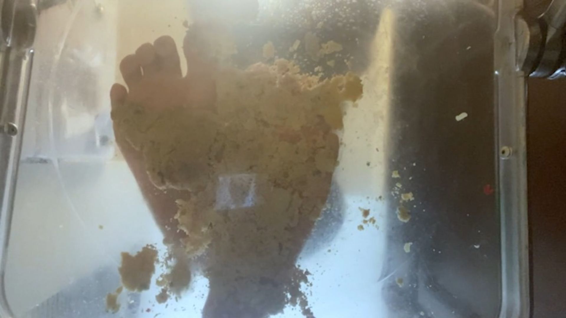 Goddess MXDominion Stomping Cookies in Clear Chair