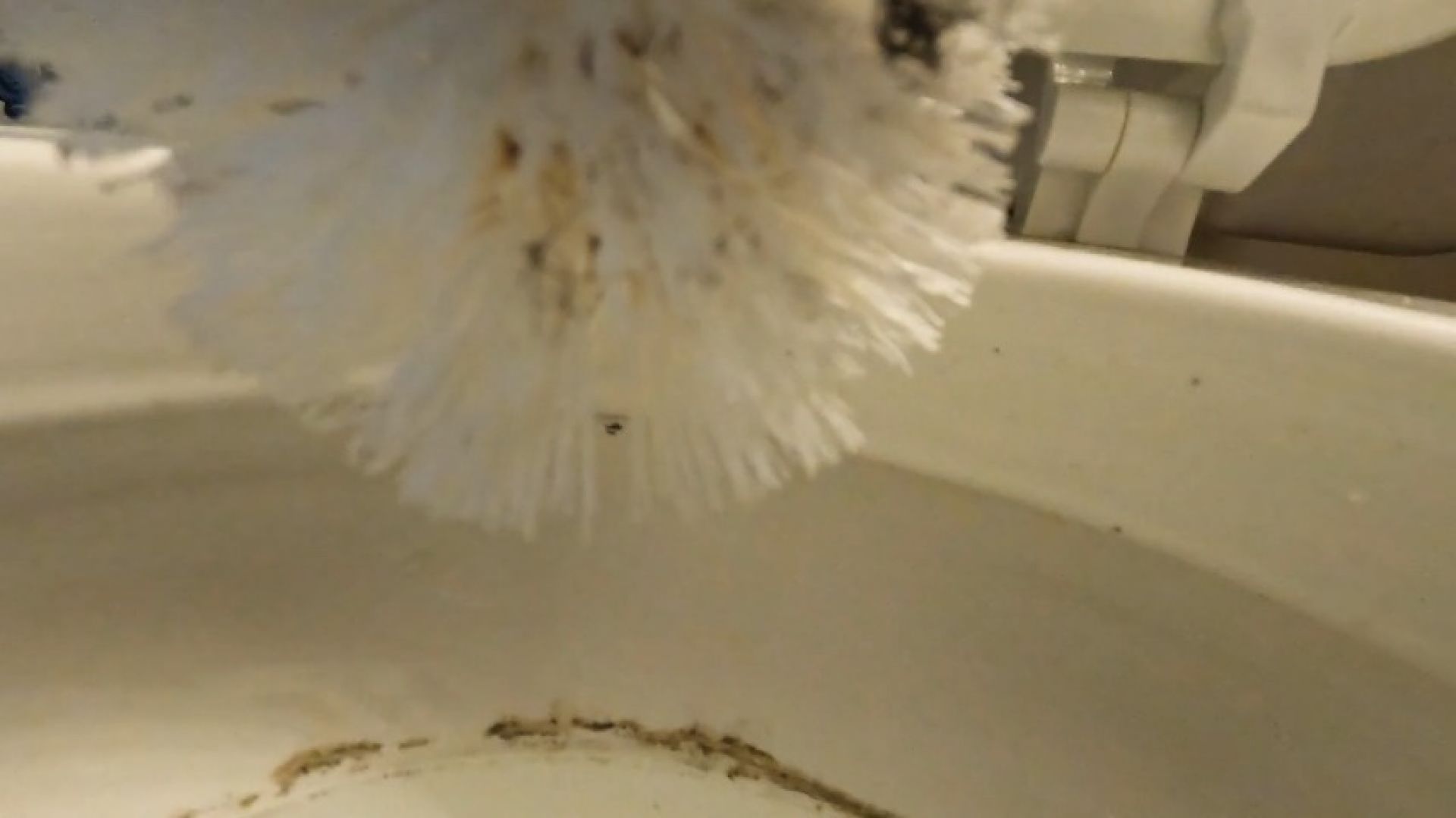 Teeny on Giantess Toilet Brush POV