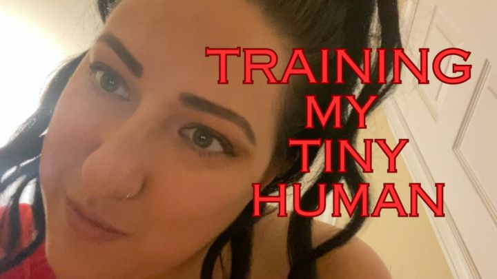 Giantess Trains Her Tiny Human Sex Toy