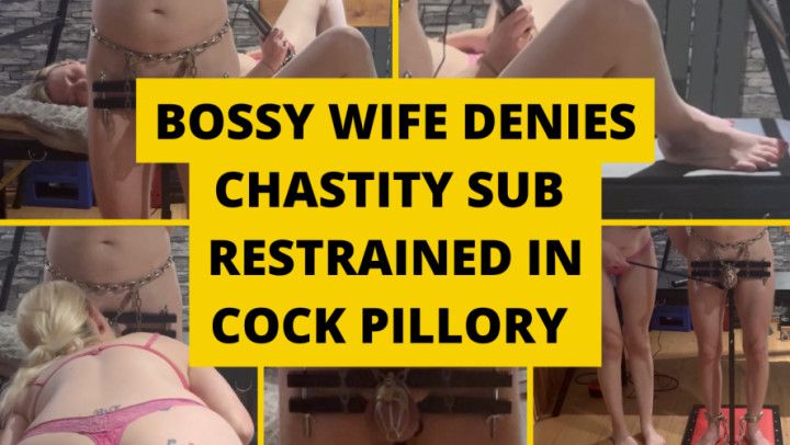 Bossy wife denies chastity sub restrained in cock pillory