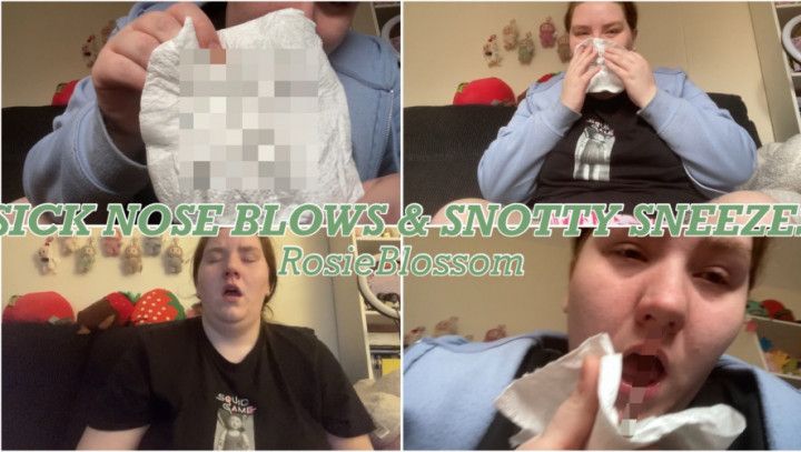 Nose Blowing &amp; Snotty Sneezes