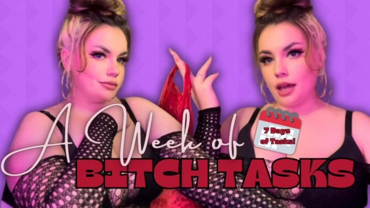 7 DAYS OF BITCH TASKS! [Beta Training, Games, Humiliation
