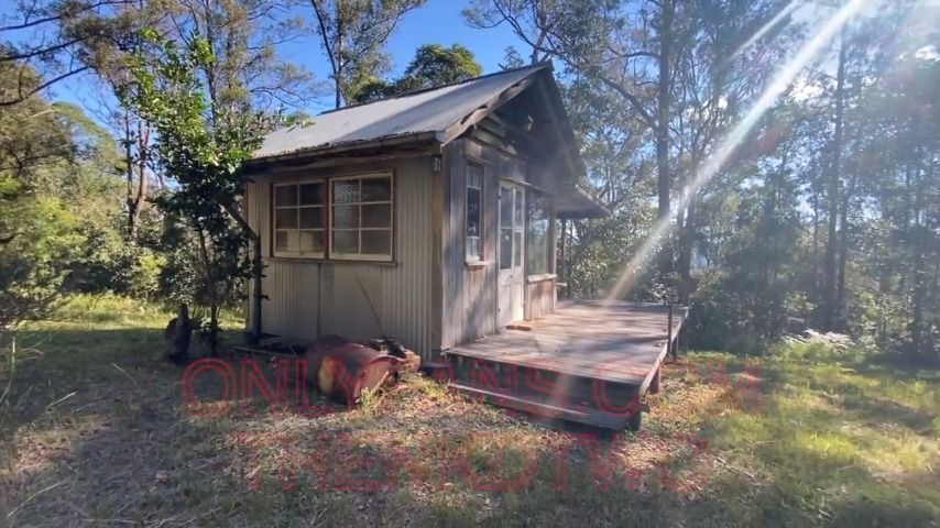 Aussie Bush Walk