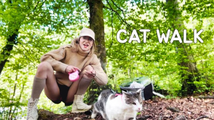 My Cat, the Forest, and the Secret Falls