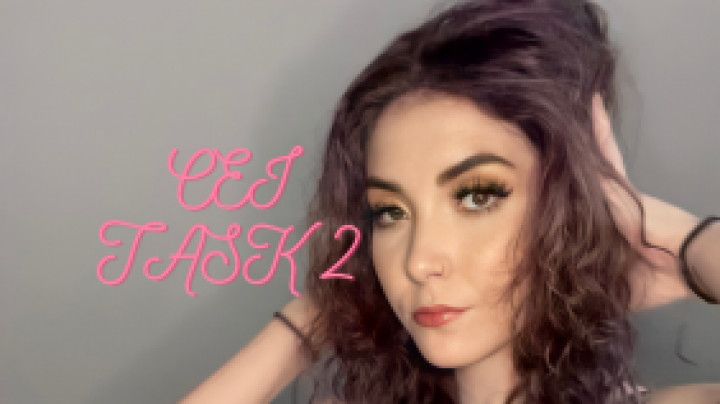 CEI Task 2