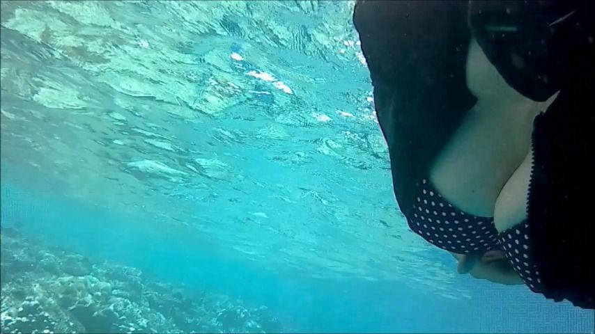 Underwater view