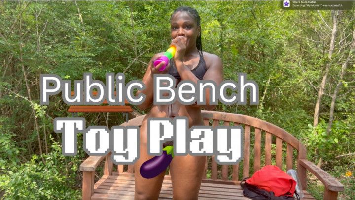 Public Bench Toy Play
