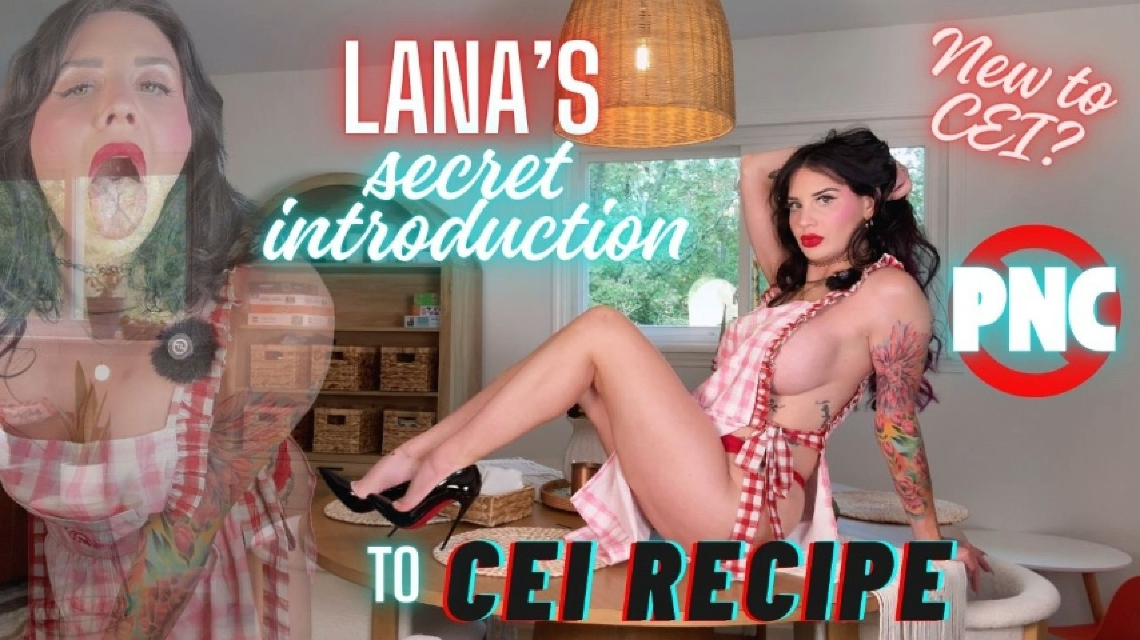 Lana's Introduction to CEI Secret Recipe JOI