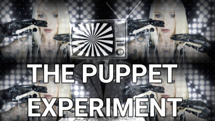 THE PET EXPERIMENT