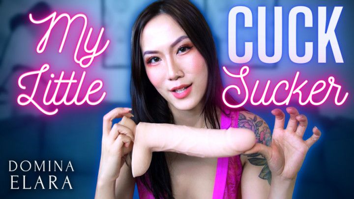 My Little Cuck Sucker