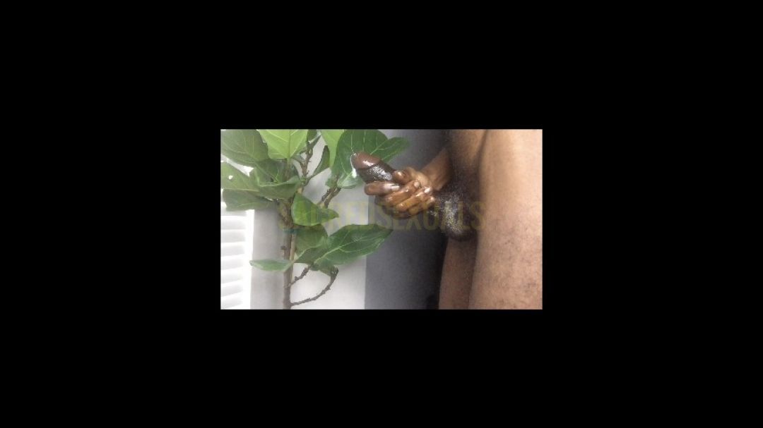 Big Dick Compilation