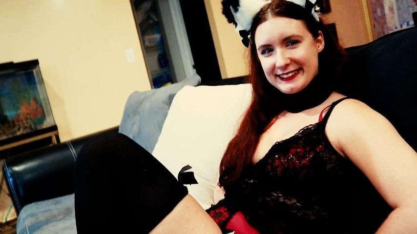 I Smash Tied Up Pet Kitten Violet Spice
