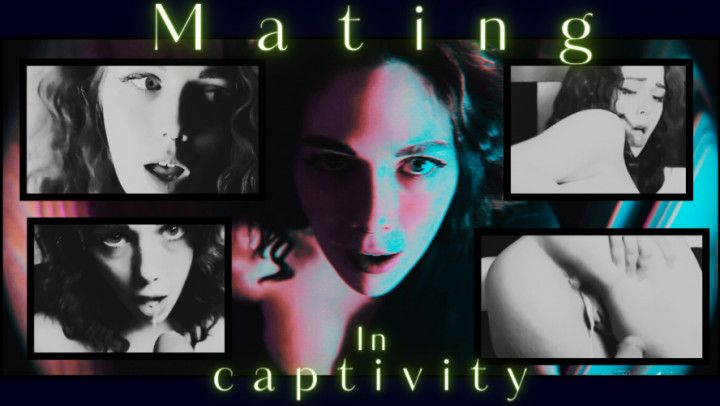 Mating In Captivity