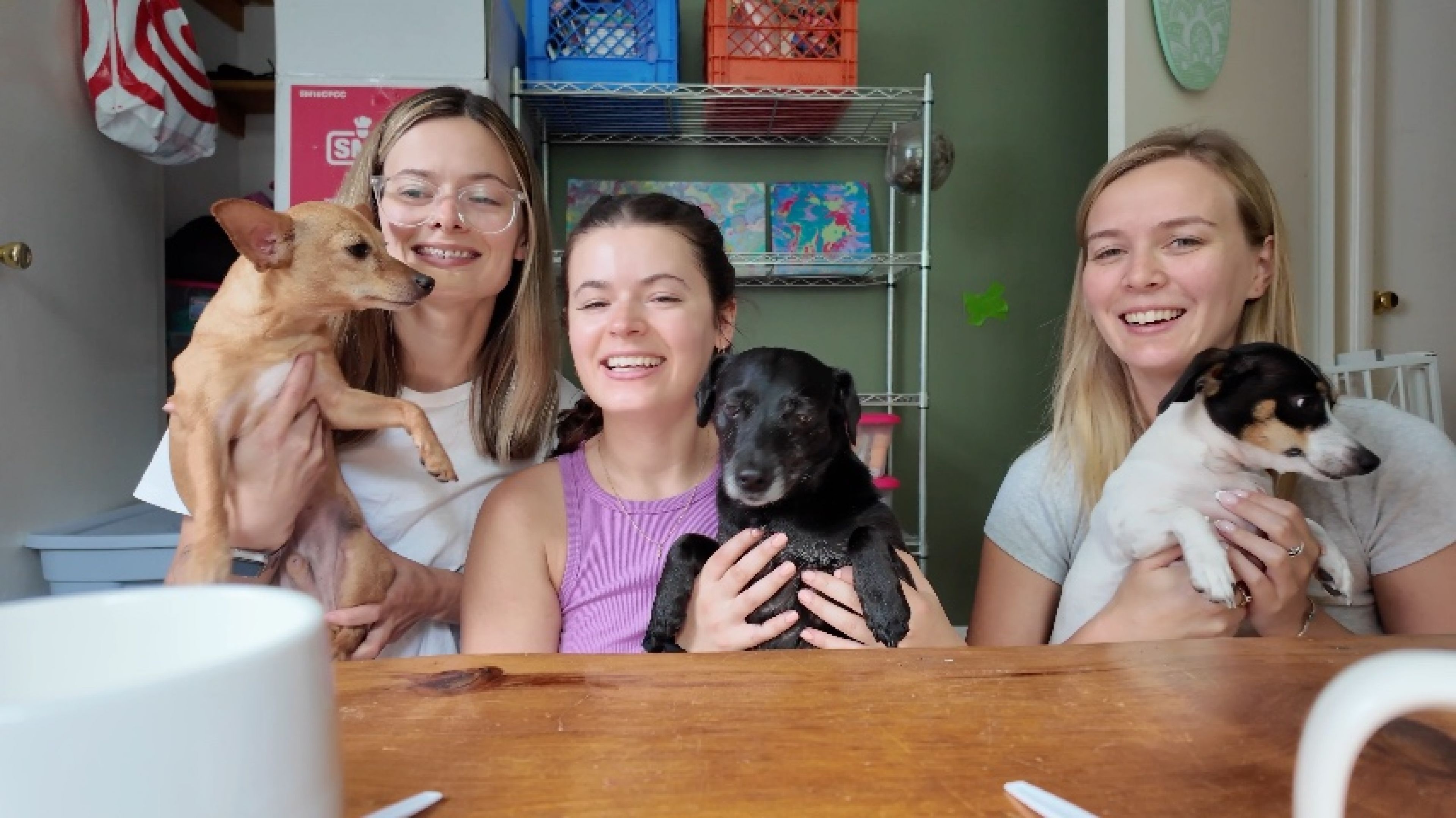 Oreo Taste Test with New Flavors