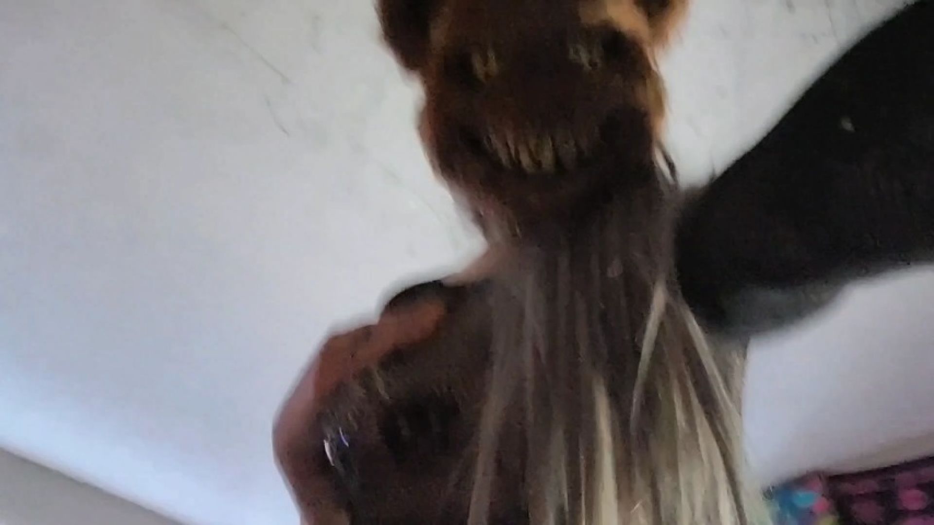 Who won? The girl or the bear