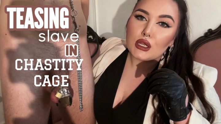 Chastity Tease and Denial for Locked Slave | Mistress Karino