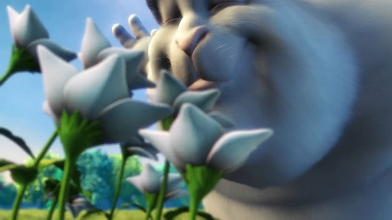 download test